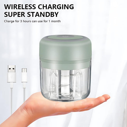 Mini Electric Food Processor and Garlic Chopper - 250ML, USB Charging, 3 Blades for Chopping Vegetables, Garlic, Meat