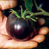 20 Rare Black Tomato Seeds for Planting Around Seeds