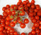 Harley Seeds 30 Sweet Pea Currant Tomato Seeds, Heirloom Non GMO, Extra Sweet and