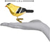 Old World Christmas Ornaments: American Goldfinch Glass Blown Bird Watcher Collection for Christmas Tree