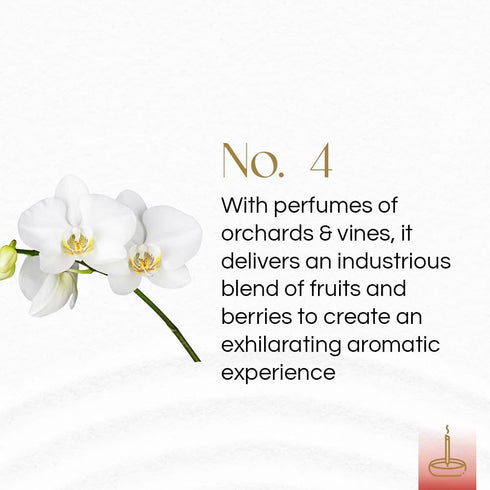 Gonesh Classic Collection Non-Toxic 10” Slow Burn Aromatic Sticks - Fruit & Floral, No. 4, 100 Pack