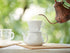 Kalita HASAMI & Kalita HA101#01010 Coffee Dripper, Porcelain Hasami Ware for 1-2 People
