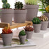 Yishang 1.9 Inch Tiny Grey Terracotta Pots, Pack of 36 Mini White Clay Pots with Drainage Holes