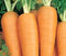 Instant Latch 750 Danvers Carrot Seeds for Planting Non GMO Heirloom Seeds Fresh Vegetable