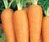 Instant Latch 750 Danvers Carrot Seeds for Planting Non GMO Heirloom Seeds Fresh Vegetable