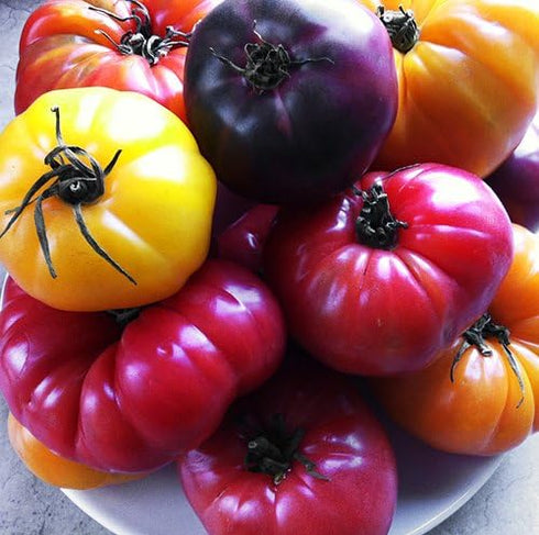 Harley Seeds 30 16 This is A Mix Rainbow Deluxe Tomato Seeds Mix Varieties, Heirloom Non-GMO, Indeterminate, Old
