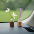 WAYUTO Mini Glass Vase with Walnut Stand - Self-Adhesive Plant Container for Home & Car