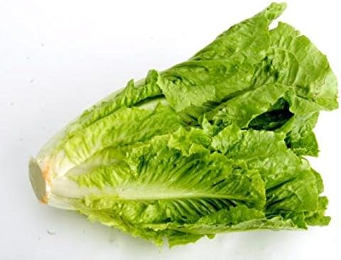 (1 LB) Dirt Goddess Super Seeds ~ Romaine Lettuce Seeds - Non GMO, Heirloom, Open Pollinated