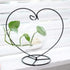 Heart-Shaped Iron Plant Stand for Air Plants - Stylish Hanging Holder