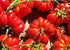 Harley Seeds 30 Costoluto Genovese Pomodoro Tomato Seeds, Heirloom Non-GMO, Low Acid, Indeterminate, Open-Pollinated