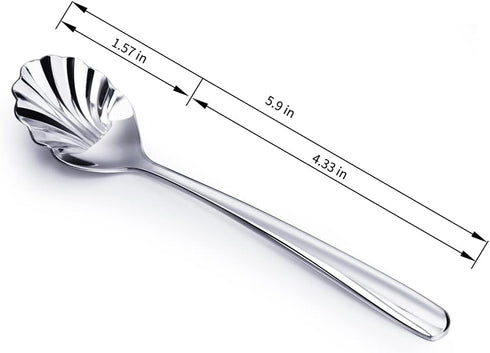 Csinos 304 Stainless Steel Spoon Set, Shell Shape Flatware Spoon