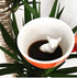 Creature Cups FOX Ceramic Cup (11 Ounce, Red Orange) - Hidden 3D Woodland Animal Mug