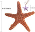 JIANEEXSQ Cute Beach Starfish Shaped Throw Pillows Plush Cushion Nap Pillow Home Decorative Accent Cotton Sofa Bed