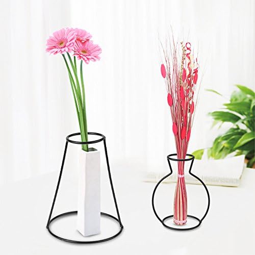 Black Iron Metal Vase Frame, Tabletop Display Holder for Plants, Flower Stand, Indoor Cafe Home Decoration