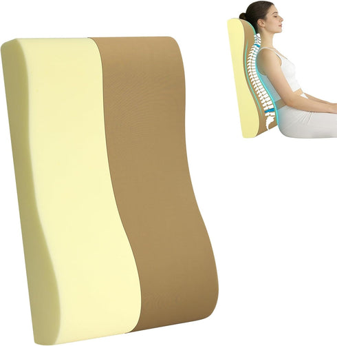 HAVARGO 2-in-1 Neck Pillow Lumbar Support Pillow for Recliner Couch & Nursery
