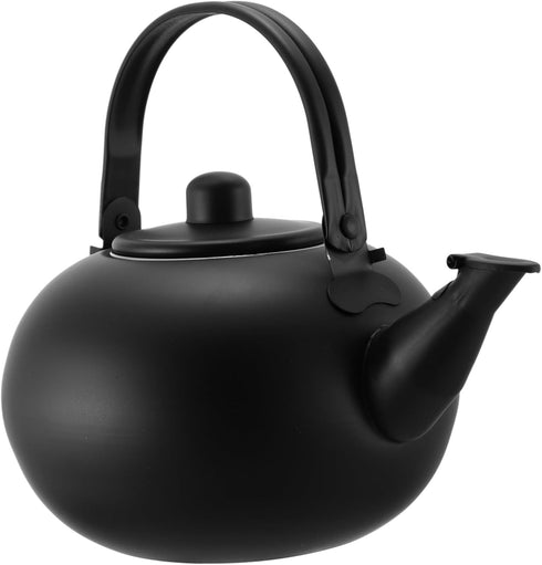 Cast Iron Tea Kettle with Metal Coffee Filter, Heating Teakettle for Gas Stove, Stainless Steel Field, Make Tea
