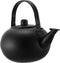 Cast Iron Tea Kettle with Metal Coffee Filter, Heating Teakettle for Gas Stove, Stainless Steel Field, Make Tea