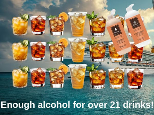 ShampBooze Booze 17oz Fake Shampoo Bottles | Flasks for Liquor Disguise | Plastic Flask for Liquor | Smuggling