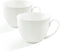 22 OZ White Bone China Soup Mugs with Handles, Large Ceramic Coffee