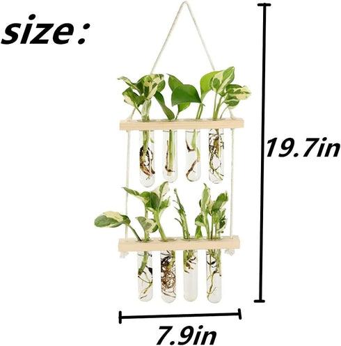 ORANGE NEI 2 Wall Hanging Planter, Tiered Plant Propagation Stations Plant Terrarium with Wooden Stand, Glass Planter