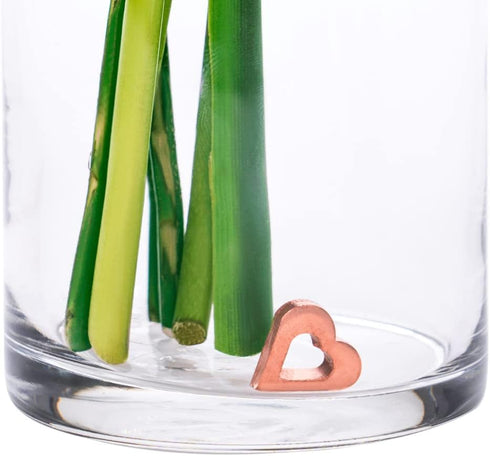 Flower Food Alternative for Fresh Cut Flowers | Copper Charm Keeps Flower Water Clean and Clear | Reusable (2 Pack)