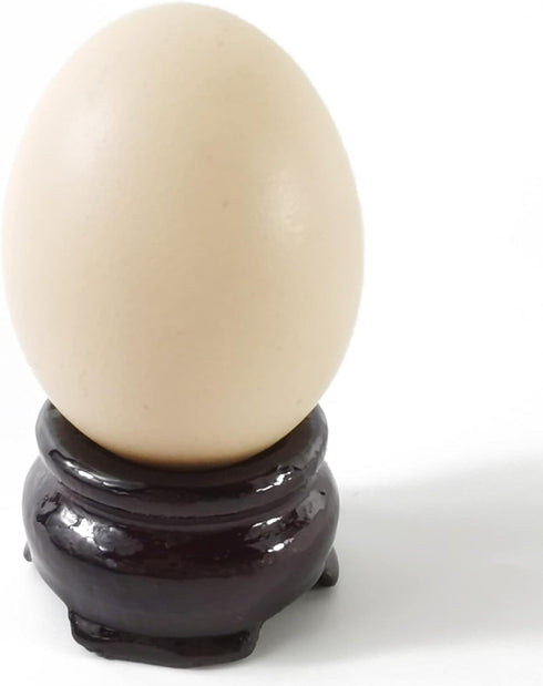NSBELL 20PCS 2 Sizes Wooden Egg Stands Holders Displays Stand Ball Egg Base for Crystal Ball Sphere Globe Stone Decor