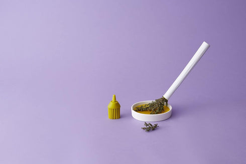 HerbWand Basting Brush with Ceramic Tray