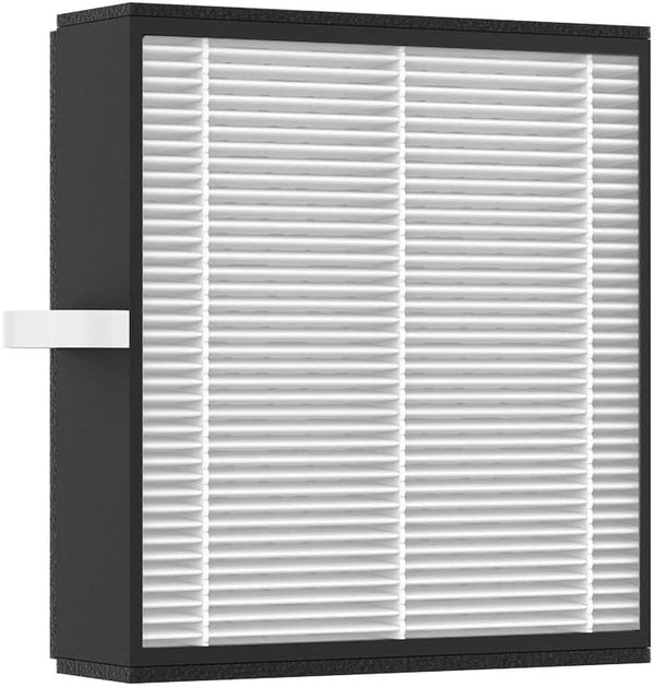 Afloia Efficient Filter for Q10 Air Purifier and Dehumidifier (Air Purifier Q10 Filter Replacement)