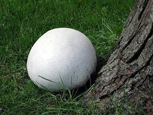 CEMEHA SEEDS Giant Puffball Mushrooms Non GMO for Planting Mycelium Spawn Spores
