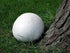 CEMEHA SEEDS Giant Puffball Mushrooms Non GMO for Planting Mycelium Spawn Spores
