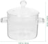 Glass Saucepan, 1350ml Glass Cooking Pot with Cover, Nonstick Soup Pot for Soup and Pasta