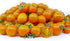 BULBORIUM 100PCS Orange Hat Micro Dwarf Tomato Seeds Non-GMO Heirloom Seeds