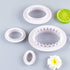 Teensery 4 Pcs Plastic Oval Cookie Cutter Set, Double Sided, 4 Sizes for Biscuit, Cake, Baking Molds