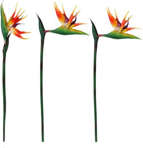 3 Pcs Large 32 Inch Bird of Paradise Permanent Flower, UV Resistant No Fade Soft Rubber PU Artificial Plants, Orange Red