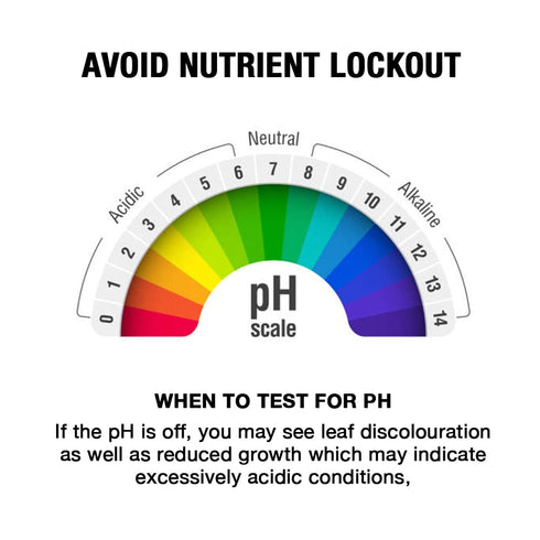 16 Microbe Life Hydroponics pH Up pH Control Liquid, Premium Buffering for pH Stability, Increases pH Levels, Use