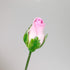 Flower Pro Calyx Trio Silicone Mold by Katy Sue Molds for Cake Decorating & Clay Crafts - Make Rose Calyx