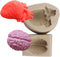 2PCS Halloween Heart and Brain Silicone Molds - DIY Human Organ Fondant Mould for Cake, Candy, Biscuit, Kitchen Tools