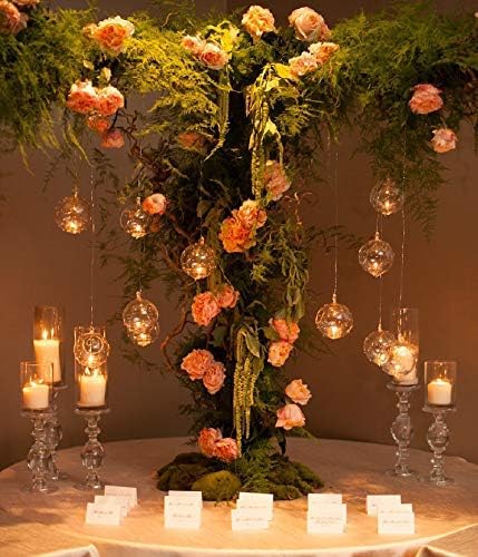 24 3.15"/ 8cm (20 4 Pcs Hanging Glass Tealight Holder Globe, Plant Terrariums Glass Orbs, Air Plants Tea Light Candle