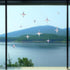 Cross Star Window Stickers for Bird Strikes, Anti Collision Rainbow Decals, 36 Pieces Glass Awareness for Windows
