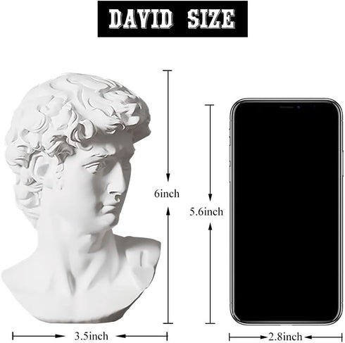 6 Inch fazhongfa Greek Statue of David Bust Resin Sculpture for Roman Bookshelf Tabletop Office Home Decor Roman