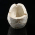 NUOBESTY 2Pcs Halloween Skull Figurines Bowl - Resin Flower Pot Planter Collectible Human Skeleton Statue Ornament