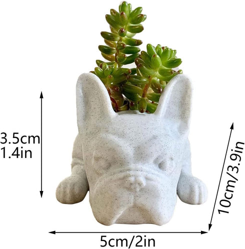 White Resin Dog Succulent Planter, Cute French Bulldog Shape Mini Puppy Air Plant Planter for Home Garden Decor