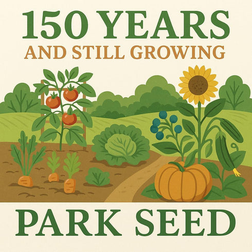 Pack 30 Park Seed Variety of Tomato Seeds, Planting Vegetables, Easy to Grow, Non-GMO, Perfect for Harvesting, Better