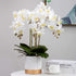 FagusHome 32" Artificial Phalaenopsis Flowers, 6 Pcs with 4 Bundles Leaves for Home Décor