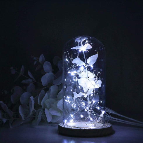 VOOKRY 12 Pack Fairy Lights Battery Operated, 30 LEDs Mini Starry String Lights for DIY Wedding Decorations