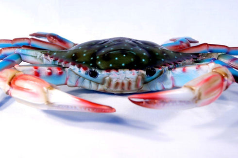 Charlotte International 17" Chesapeake Bay Blue Crab Wall Art - Large Decor