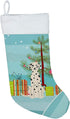 Caroline's Treasures BB4222CS Merry Christmas Tree Dalmatian Christmas Stocking for Holiday Decor