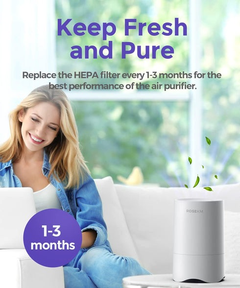 1-Year Pack Air Purifier Replacement Filter for AP001R, True HEPA Filter, 4 Pack