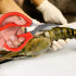 Calary 8Pcs Seafood Scissors, Multifunctional Crab Leg Crackers and Tools for Seafood