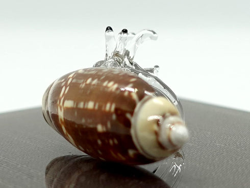 Sea Shell Seashell Hermit Crab Conch Tiny Miniature Figurines Beach Animals Hand Blown Glass Art Natural Collectible